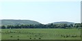 Grazing land on the SW side of Cottage Road