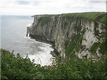 TA2073 : Bempton Cliffs by John Slater