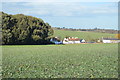 West Street Cottages