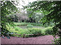 Pool in wildlife enclosure, Holland Park rainwater conservation