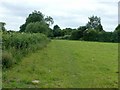 Field footpath near Borrowash