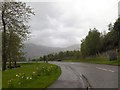 Park Road, Ballachulish in the rain