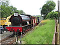 Locomotives at Bronwydd Arms