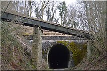 SX5364 : Shaugh Tunnel and Wheal Lopes Leat Aqueduct by N Chadwick