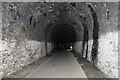 SX5364 : Inside Shaugh Tunnel by N Chadwick