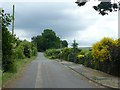 Baulk Lane, Stapleford