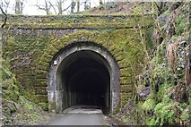 SX5364 : Shaugh Tunnel, north portal by N Chadwick