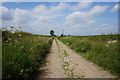 Occupation Lane towards Barff Vale