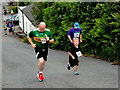 Mountfield 5 k race