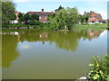 The pond at Matfield