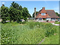 The edge of the pond at Matfield