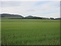 Field near Collace