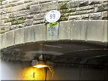 SJ9698 : Bridge #99 by Gerald England