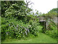 Looking through to the walled garden at Iden Croft Herbs