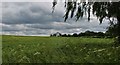 Across the fields to the old mill.