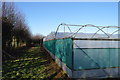 Polytunnels