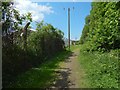 Path to the River Leven