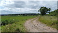 Fields beside Wharf Lane