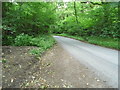 Sutton Copse in Edmondsham