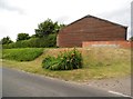 Lilies by Eastworth Farm, Verwood