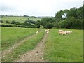 Footpath and track to Tidlake