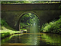 SJ8415 : Rye Hill Cutting Bridge near Little Onn, Staffordshire by Roger  Kidd