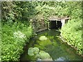 Concrete culvert for Nut Brook