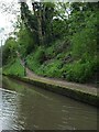 The towpath rejoining the Worcester & Birmingham Canal