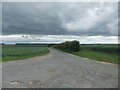 Road to Kirby Wold Farm