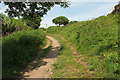 Path above Starehole Bottom