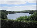 W4572 : The River Lee (Inishcarra Reservoir) by Jonathan Thacker