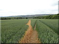 NZ0751 : Path through wheat field by Robert Graham