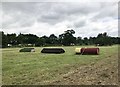 SK2014 : Cross-country warm-up area at Catton Park by Jonathan Hutchins