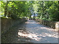 Track (Bridleway) to Newhall and Royds House