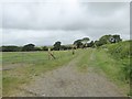 SS7621 : Modern farm track near Trittencott Cross by David Smith