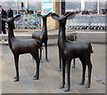 Deer sculpture at Glasgow Fort shopping centre