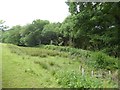 Marshland by Kitcott Lake