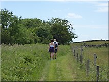 SE9999 : Walkers on the Cleveland Way by Oliver Dixon