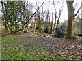 Brookfield Church graveyard