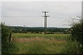 Fields and power lines at Brinkley