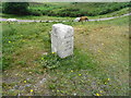 Milestone above Burley Street