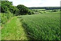 Field headland footpath