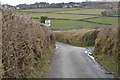 Narrow cornish lane