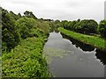 Forth Clyde canal near Westerton