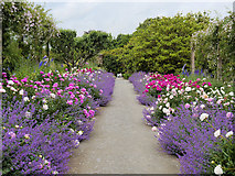 S5310 : Scented Path, Mount Congreve Gardens by David Dixon