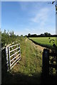 Bridleway to Trowpool