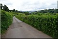 Road above Llewelyn