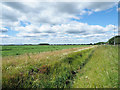 Ditch along south side of A614