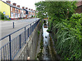 The Stour Brook, Haverhill