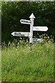 SCC Fingerpost at Vellow Wood.